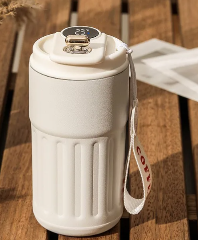Insulated Stainless Steel Thermal Bottle, 450ml