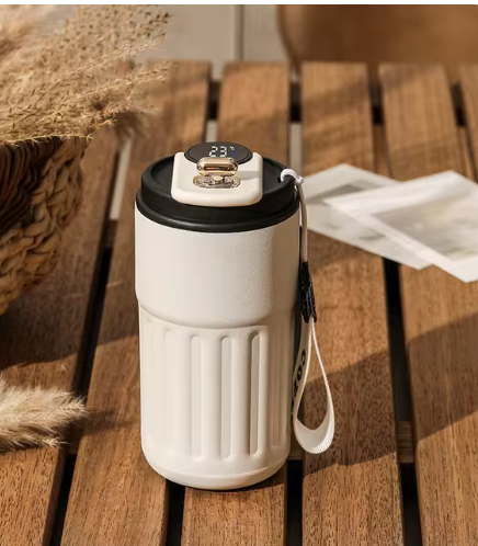Insulated Stainless Steel Thermal Bottle, 450ml